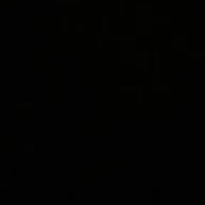 Meet your Posher, Chimpo